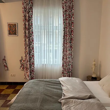 Dokstudio50 * Гент